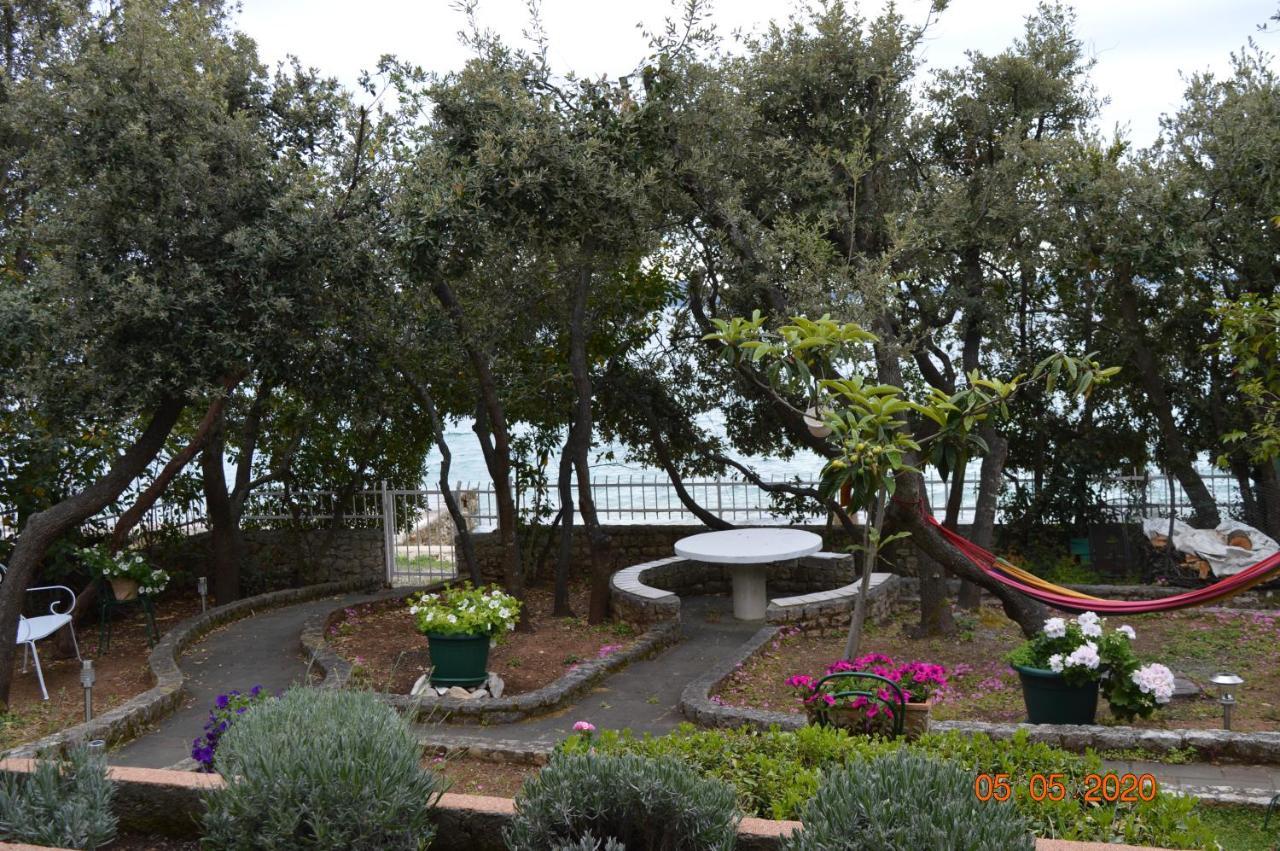Apartment Palatisa Kozino Exterior photo